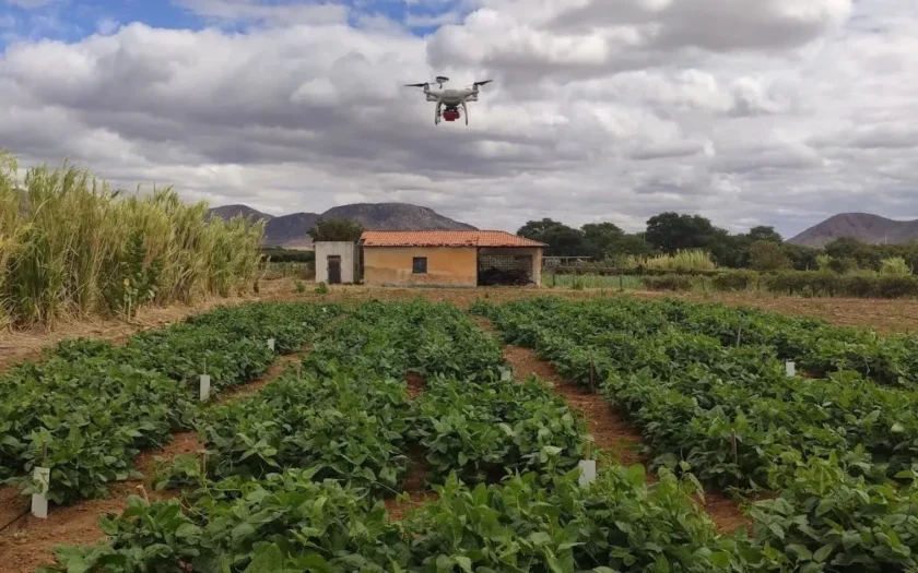 drones IF Baiano agricultura