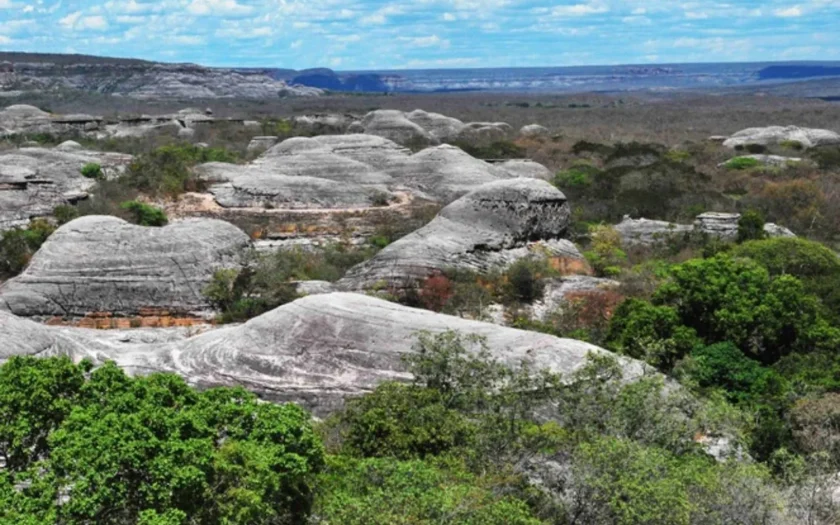 Unidade de conservação Parque Nacional Serra das Confusõe