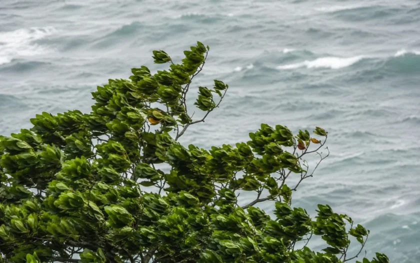 vento mar litoral Bahia