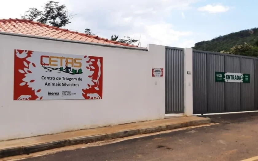 Cetas Oeste da Bahia