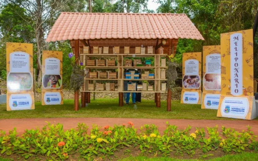 Abelha sem ferrão patrimonio natural vitoria da conquista
