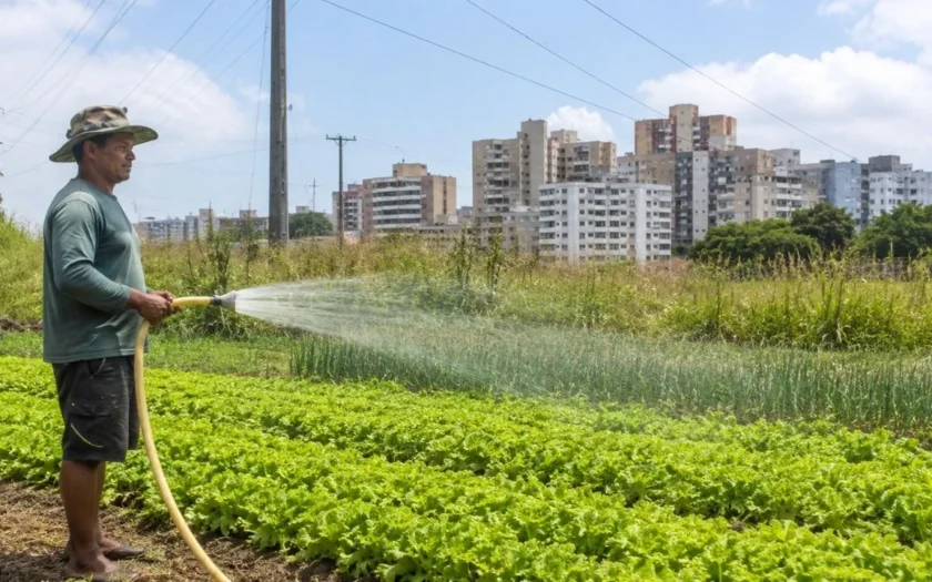 agricultura periurbana