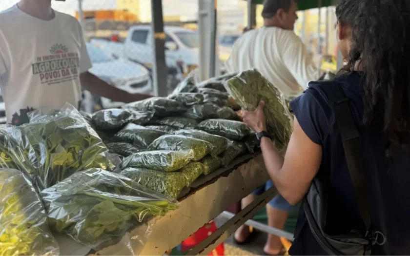 Feira organica guanambi