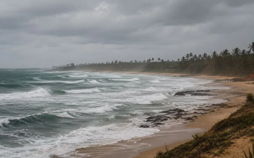 alerta marinha