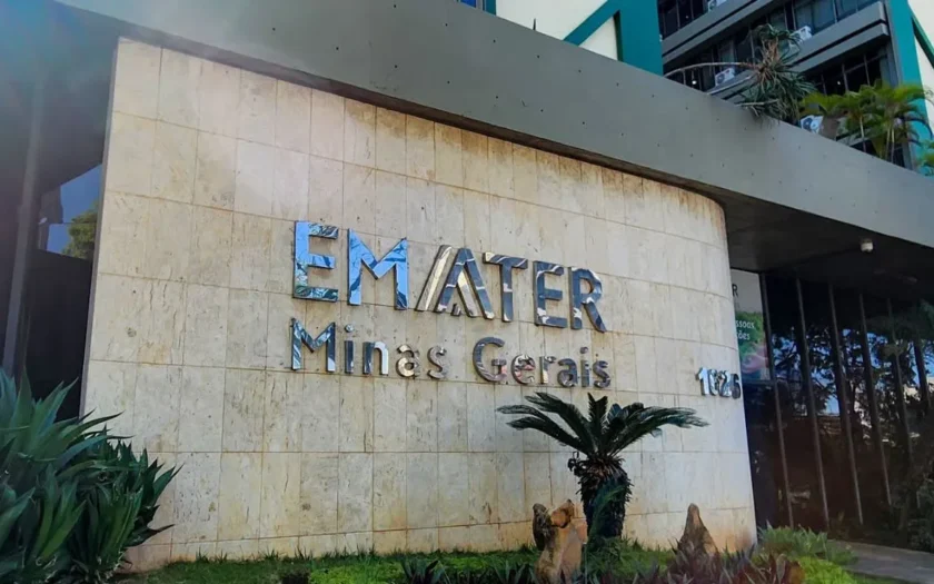 Concurso Emater MG